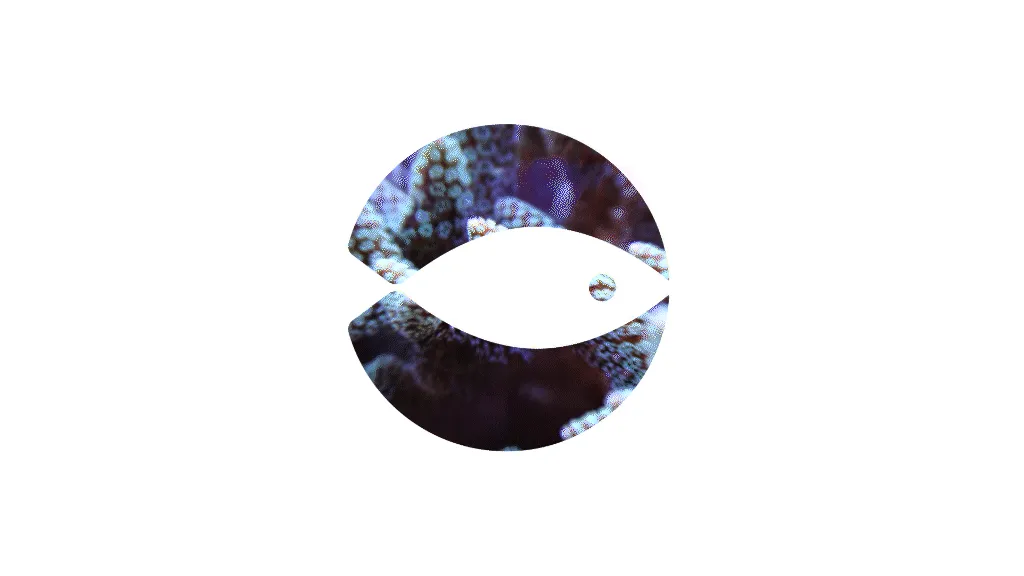 NAUSICAA_REVEAL_LOOP2